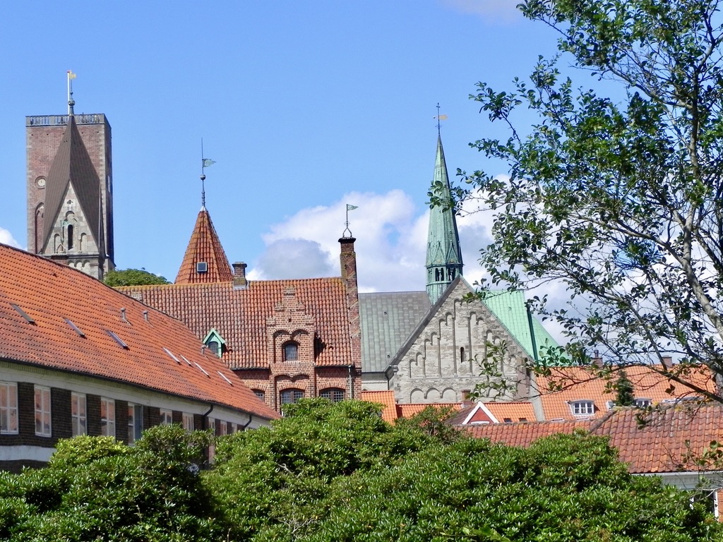 La cattedrale - veduta