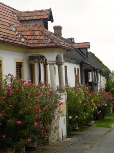 Vicolo in fiore a Morbisch am see