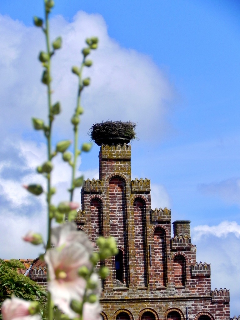 Il vecchio municipio