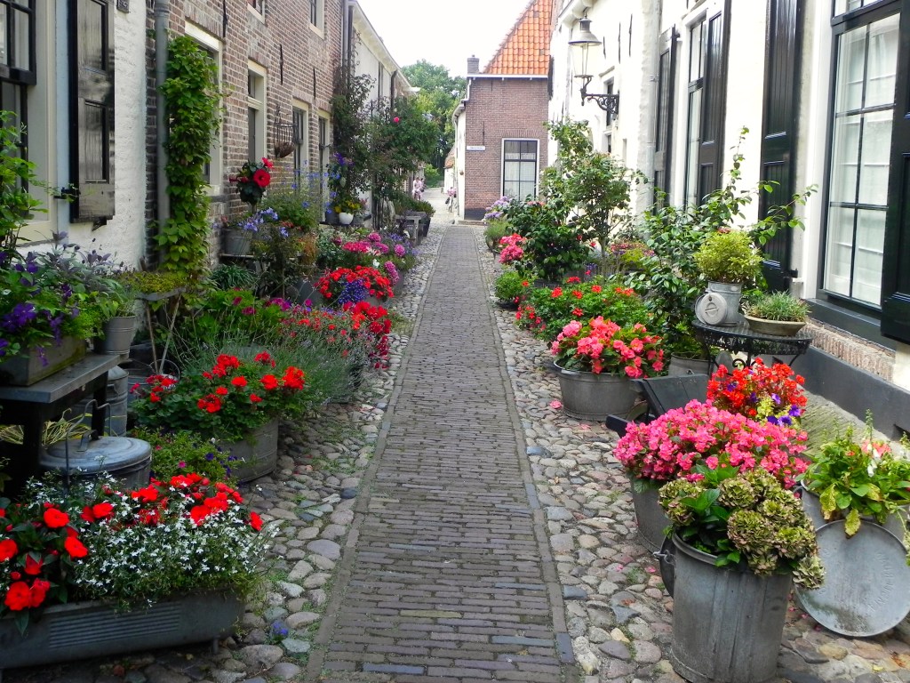Una via in fiore di Elburg