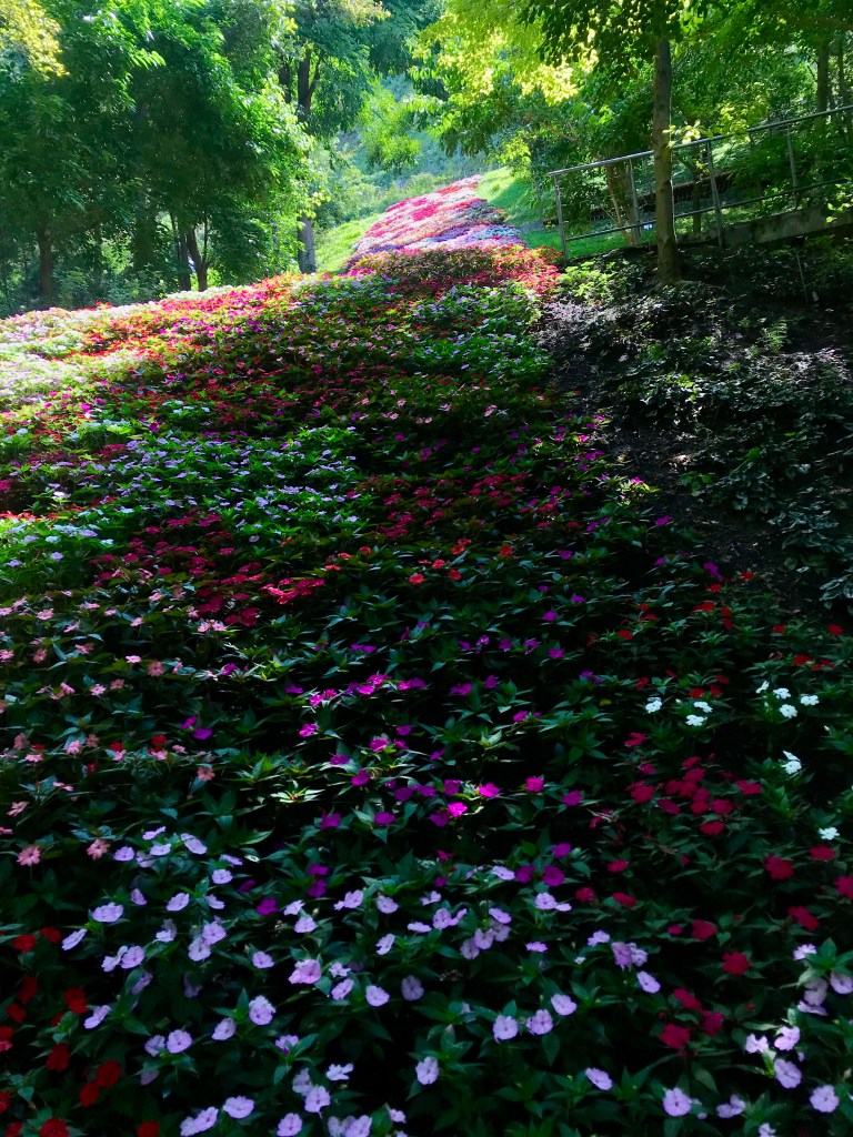 Una cascata di fiori