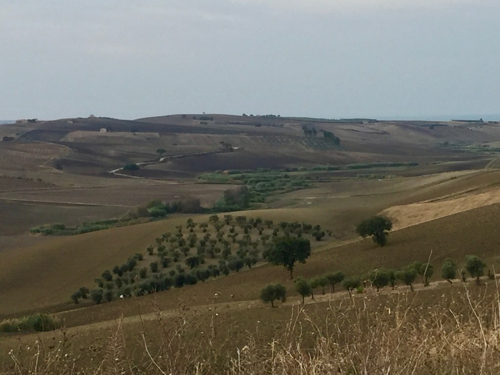 Sulla strada del ritorno - Serracapriola