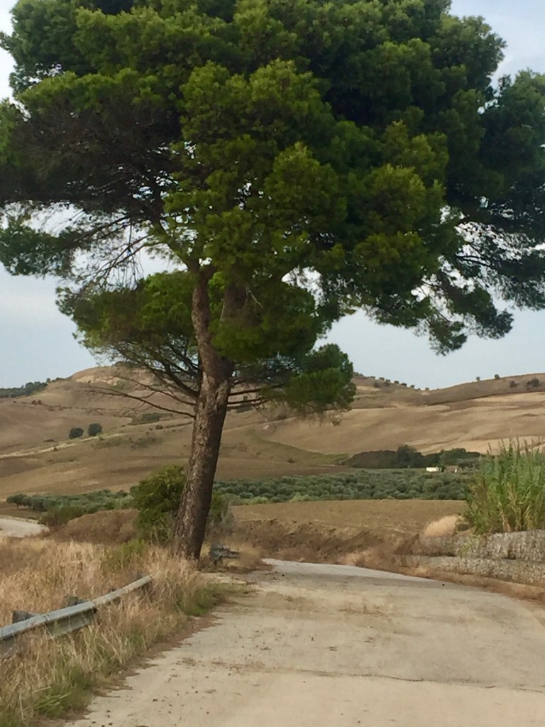 Sulla strada del ritorno - Serracapriola