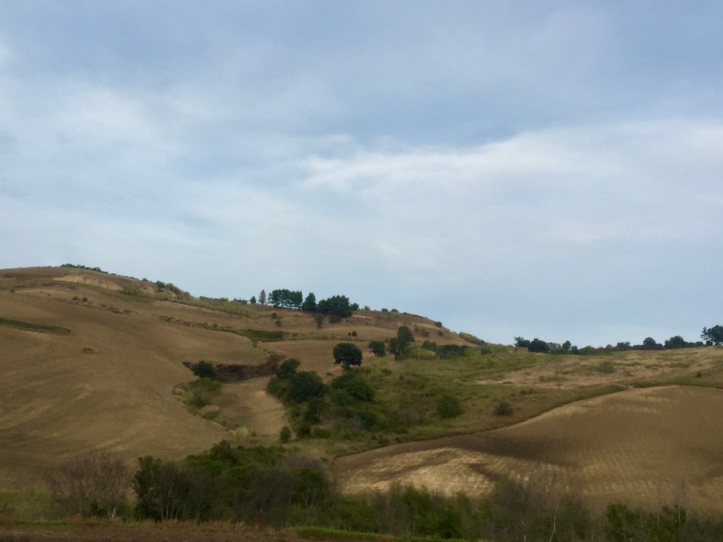 Sulla strada del ritorno. Serracapriola