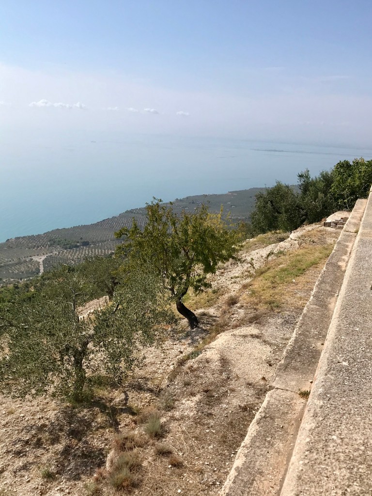 Gli ulivi ed il mare